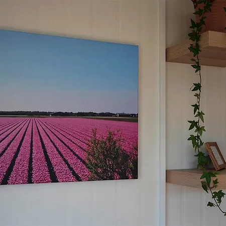 Bloem & Bed 't Zand