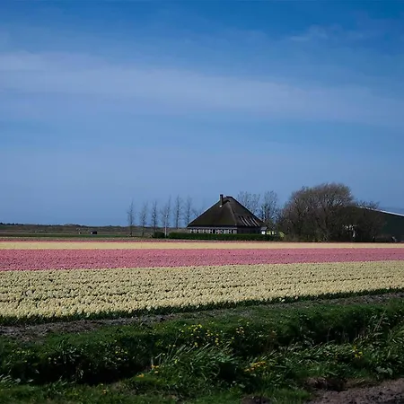 Bloem & Bed 't Zand