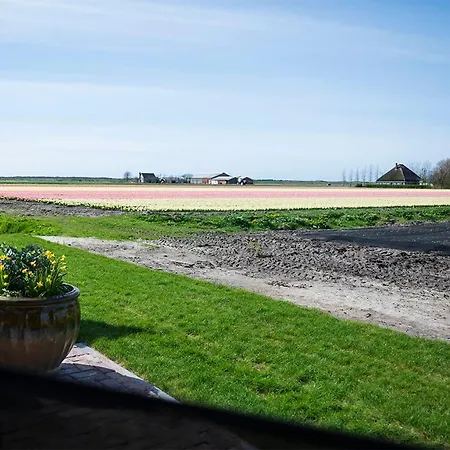 Bed & Breakfast Bloem & Bed 't Zand