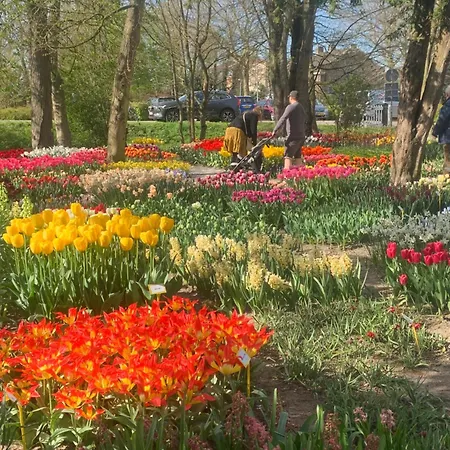 Bloem & Bed Bed & Breakfast 't Zand