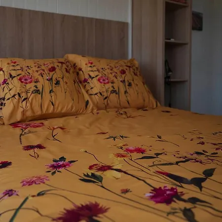 فندق مبيت وإفطار Bloem & Bed 't Zand