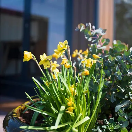 Bloem & Bed 4* 't Zand