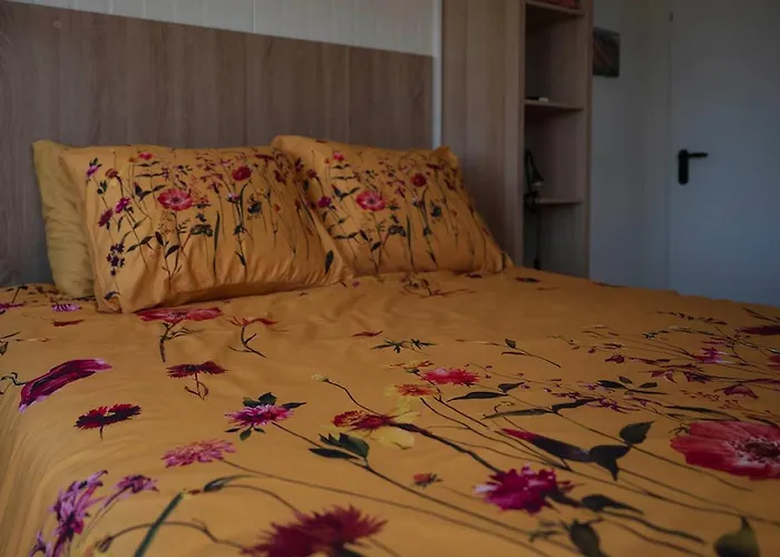 Bed and breakfast Bloem & Bed 't Zand