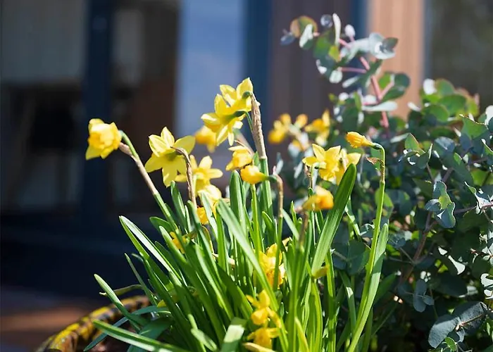 Bloem & Bed 4* 't Zand