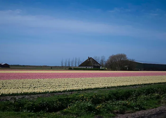 Bloem & Bed 't Zand