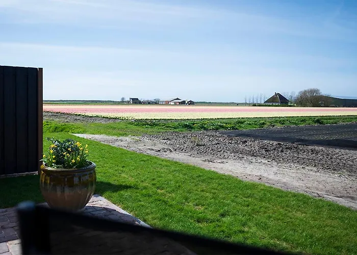 Bed and breakfast Bloem & Bed 't Zand