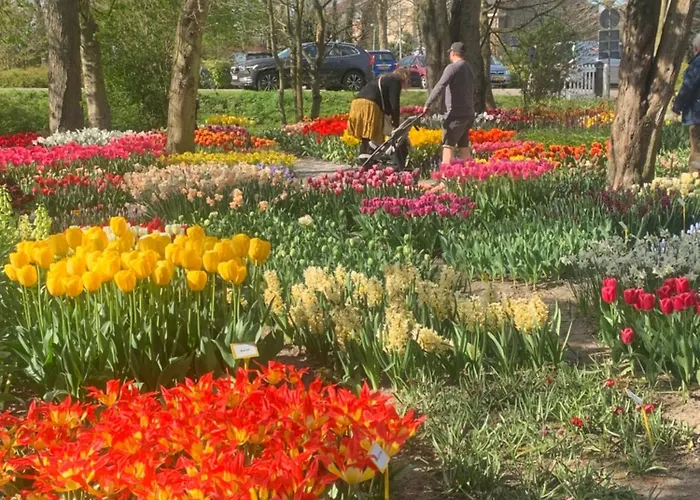 Bloem & Bed Bed and breakfast 't Zand